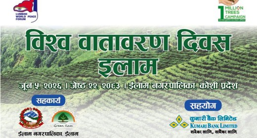 इलाम नगरपालिकासँगको सहकार्यमा कुमारी बैंकले रोप्यो ३०० विरुवा