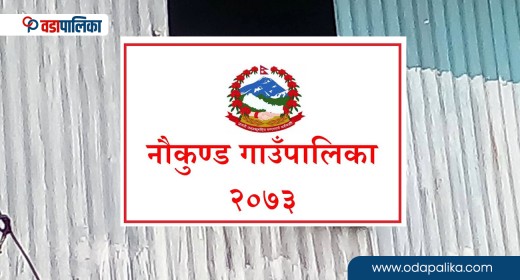 रसुवाको नौकुण्ड गाउँपालिकामा चारवटा पक्की पुल निर्माण, अब बाह्रैमास सहज यातायात