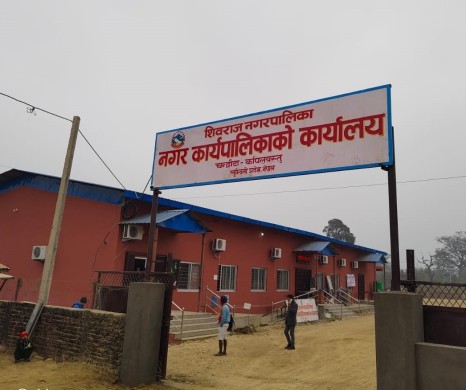 शिवराज नगरपालिकाले भन्यो– तपाईंकै जग्गामा रुख रोप्नुस्, हामी पैसा दिन्छौं