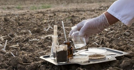 किसानलाई माटो परीक्षण गर्न आह्वान