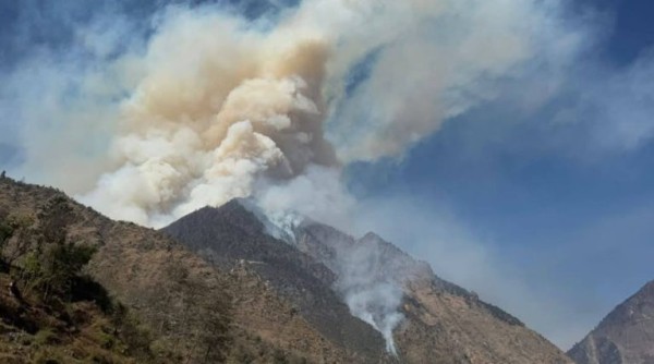 नियन्त्रणमा आएन दुप्चेश्वर गाउँपालिकाको जंगलमा लागेको आगो, निकुञ्जले खोज्यो सर्वपक्षीय सहयोग 