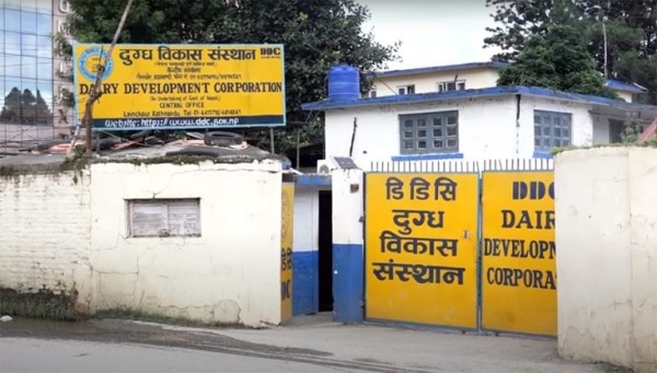 दुग्ध विकास संस्थानको महाप्रबन्धकका लागि दरखास्त आह्वान