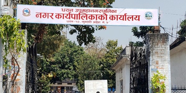 धरान उपमहानगरपालिकामा ४ थरी लेटरहेड, आधिकारिक कुन ? 