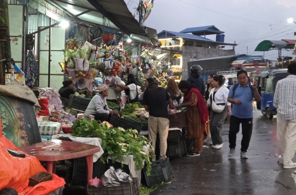 गर्मी छल्न भेडेटार आउने पर्यटकको कोसेली ‘अर्ग्यानिक तरकारी’