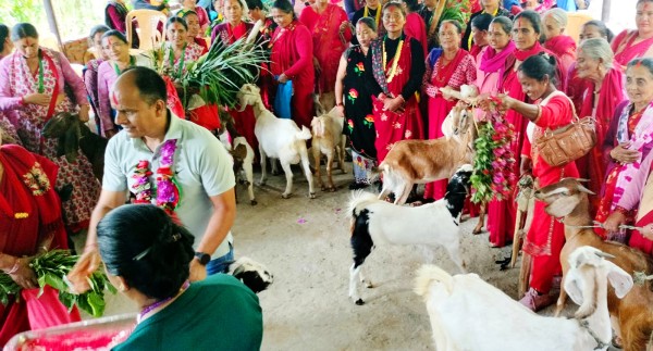 २४० बाख्राले रोक्ला त काठेखोलाको बसाइँसराइ ?