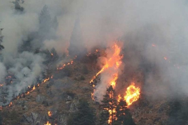 नौ जिल्ला वन डढेलोको उच्च जोखिममा