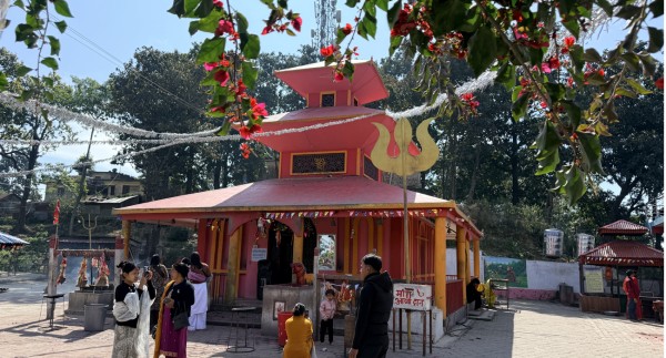 धार्मिक पर्यटनको केन्द्र बन्दै दाउन्ने देवी मन्दिर, कस्तो सहयोग गर्दैछ विनयी त्रिवेणी गाउँपालिका ?