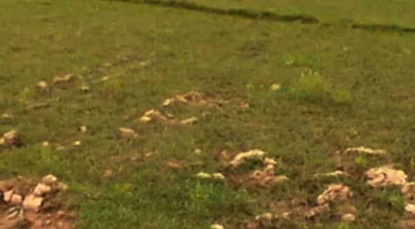 रामेछाप नगरपालिकाको बाबियाखर्कमा बन्ने भयो स्वास्थ्य चौकी, घिमिरेले दिए जग्गा 