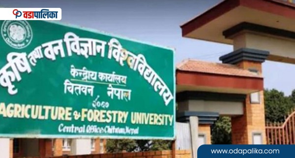 अध्ययन बिदा दुरुपयोगबारे कृषि तथा वन विज्ञान विश्वविद्यालयमा छानबिन समिति