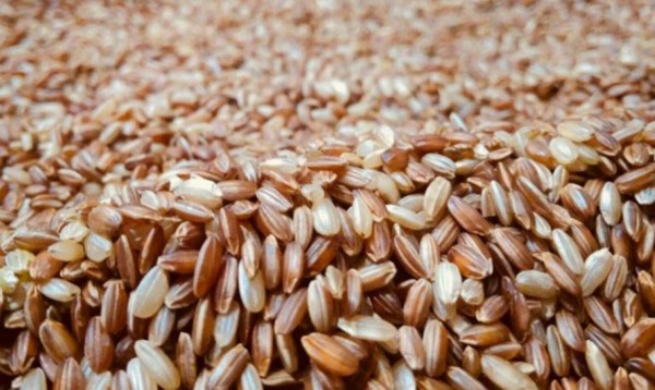 जुम्लाबाट एक वर्षमा तीन करोड बढीको मार्सी चामल बिक्री