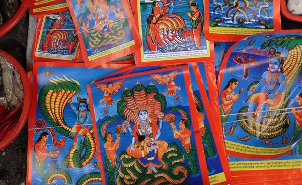 नागको पूजाआराधना गरी आज नागपञ्चमी पर्व मनाइँदै