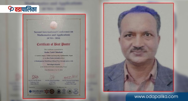गणितमार्फत रक्तप्रवाहको उपचार गर्ने छत्कुलीको नयाँ अध्ययन, मानव स्वास्थ्यमा हुनसक्छ कोशेढुंगा 