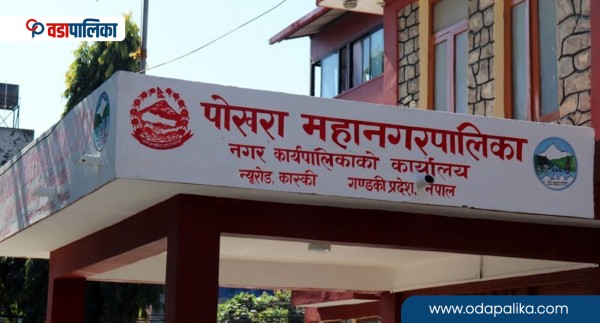 पोखरा महानगरले व्यवस्थापन गर्यो ३२० सडक चौपाया, गौशाखा संचालनको पनि रचनात्मक काम