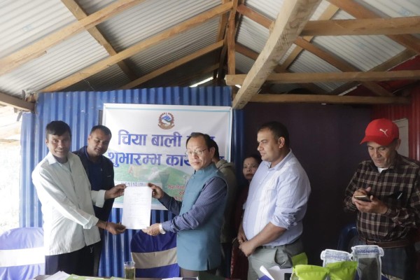 सूर्योदय नगरपालिकाले नेपालमै पहिलोपटक गरायो चियाबालीको बीमा