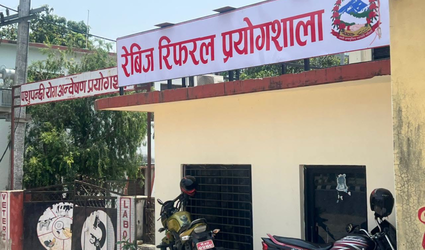 पशुपन्छी रोग अन्वेषण प्रयोगशालालाई ‘राष्ट्रिय रेबिज रिफरल प्रयोगशाला’ को जिम्मेवारी