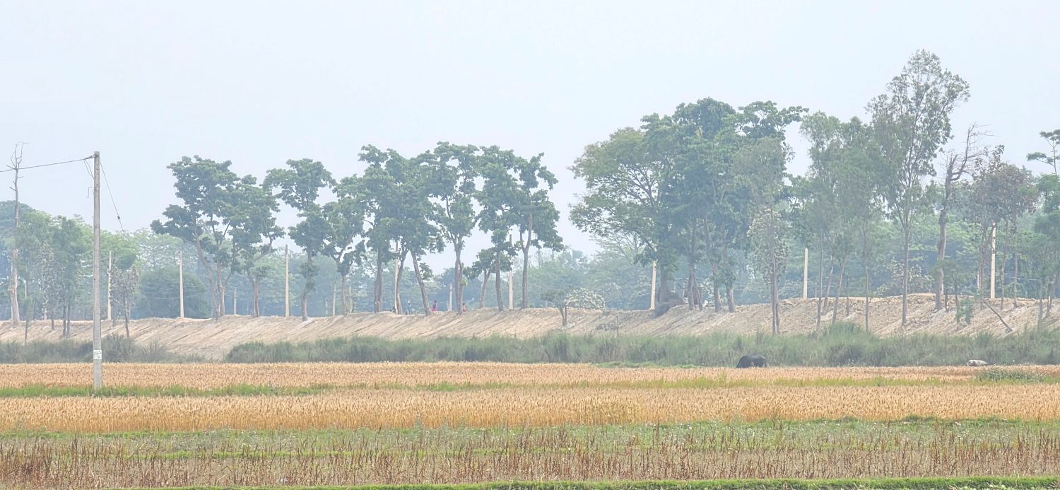 भारतले बाँध अग्लो बनाएपछि गौर डुबानको जोखिममा
