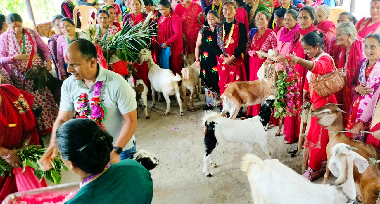 २४० बाख्राले रोक्ला त काठेखोलाको बसाइँसराइ ?