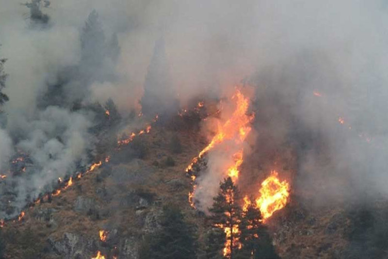 नौ जिल्ला वन डढेलोको उच्च जोखिममा