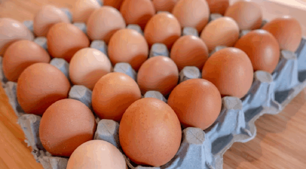 अन्डाको मूल्य प्रतिक्रेट ५० रुपैयाँले बढाइयो  