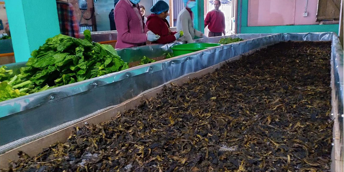 भानु नगरपालिकाले बनाउँदैछ 'गुन्द्रुक ब्रान्ड'