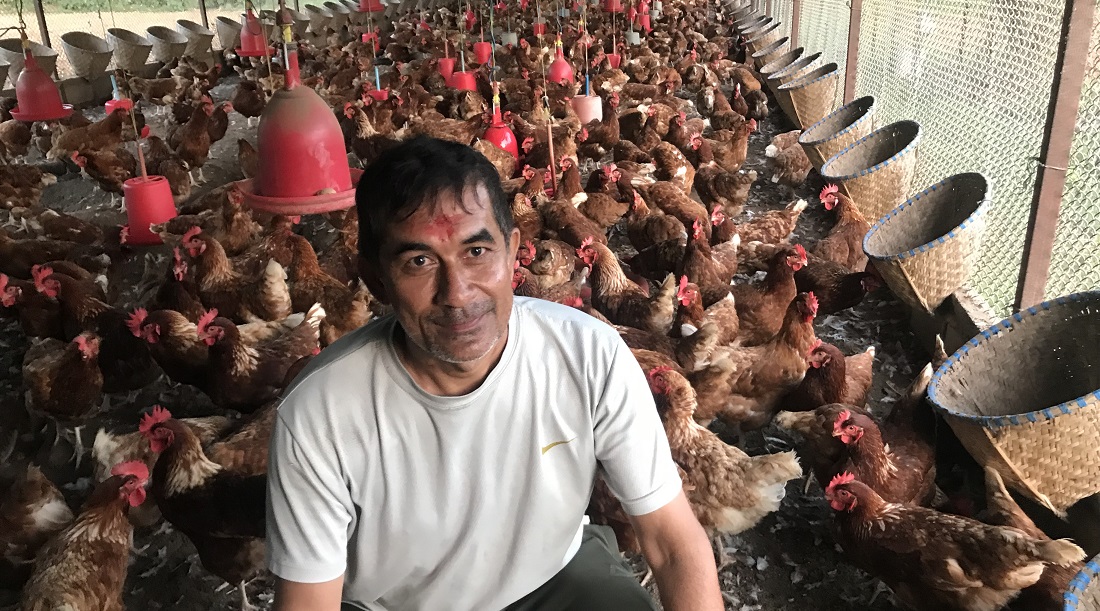 १७ वर्ष दुबईमा रोजगारी, गाउँ फर्किएपछि कुखुरा पालेर मासिक १ लाख आम्दानी