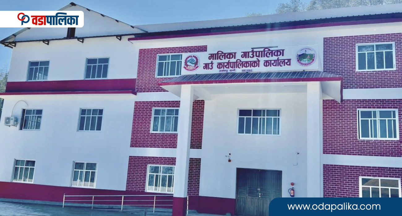 मालिका गाउँपालिकामा बेसारको ब्रान्डिङ, प्रतिकेजी ४ सय रुपैयाँ मूल्य