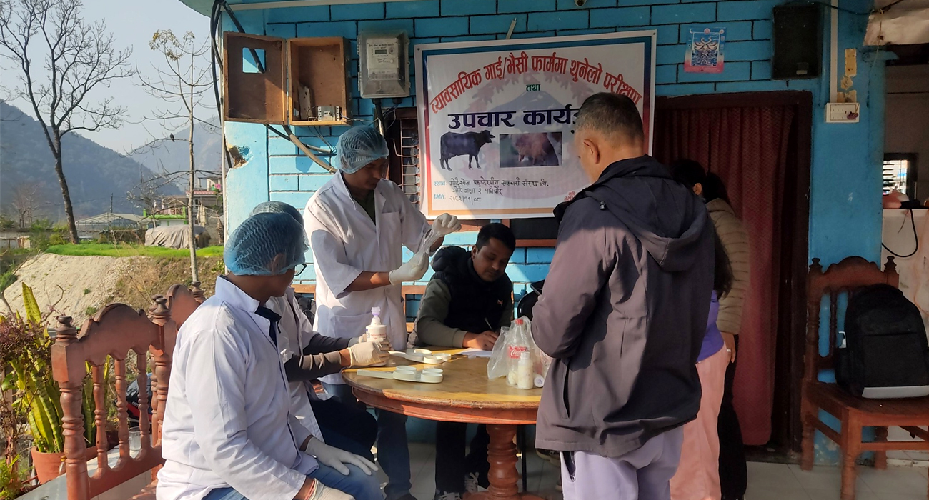 गाईभैँसीमा थुनेलो रोगको परीक्षण, सातै पालिका पुग्यो जिल्ला भेटेरिनरीको टोली